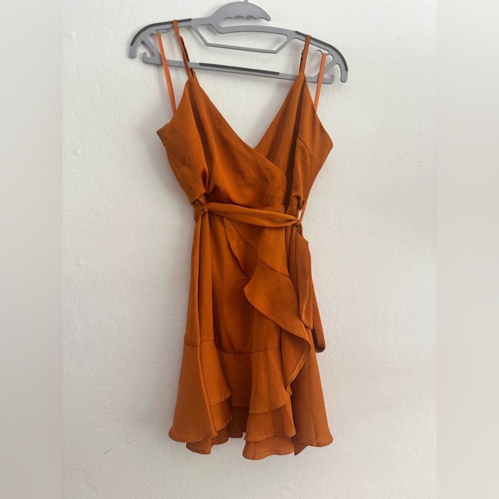 Hello Molly Toy Teacup Dress in Copper XS $89